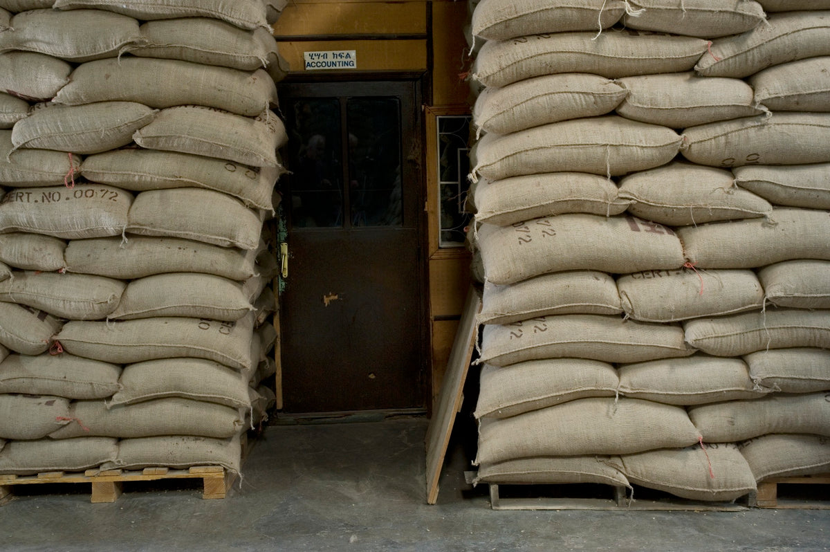 Ethiopia | Banko Chelbesa | 74110 & 74112 | Washed