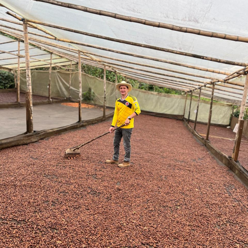 Colombia Anaerobic Natural SL28
