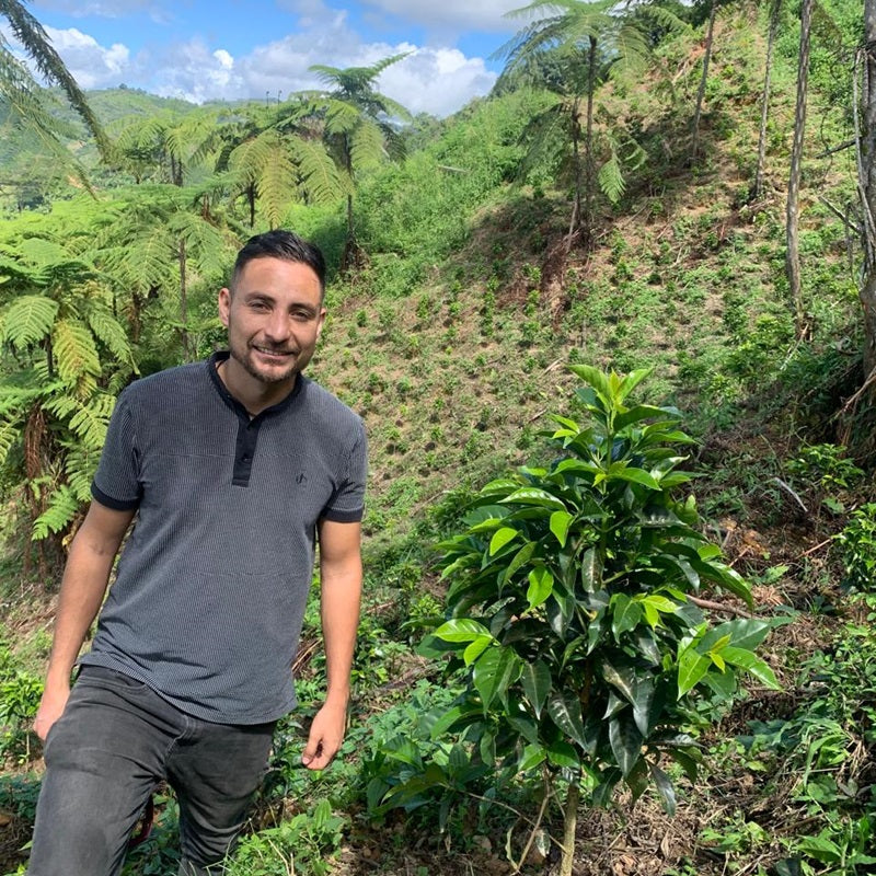 Colombia | Marlon Rojas | Bourbon Aji | Washed