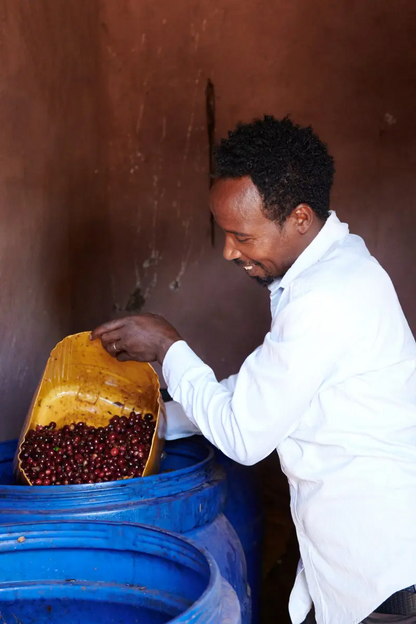 Ethiopia Anaerobic Natural Esayas Beriso