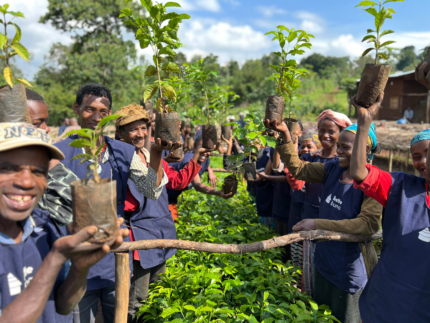 Bette Buna - Process Pair