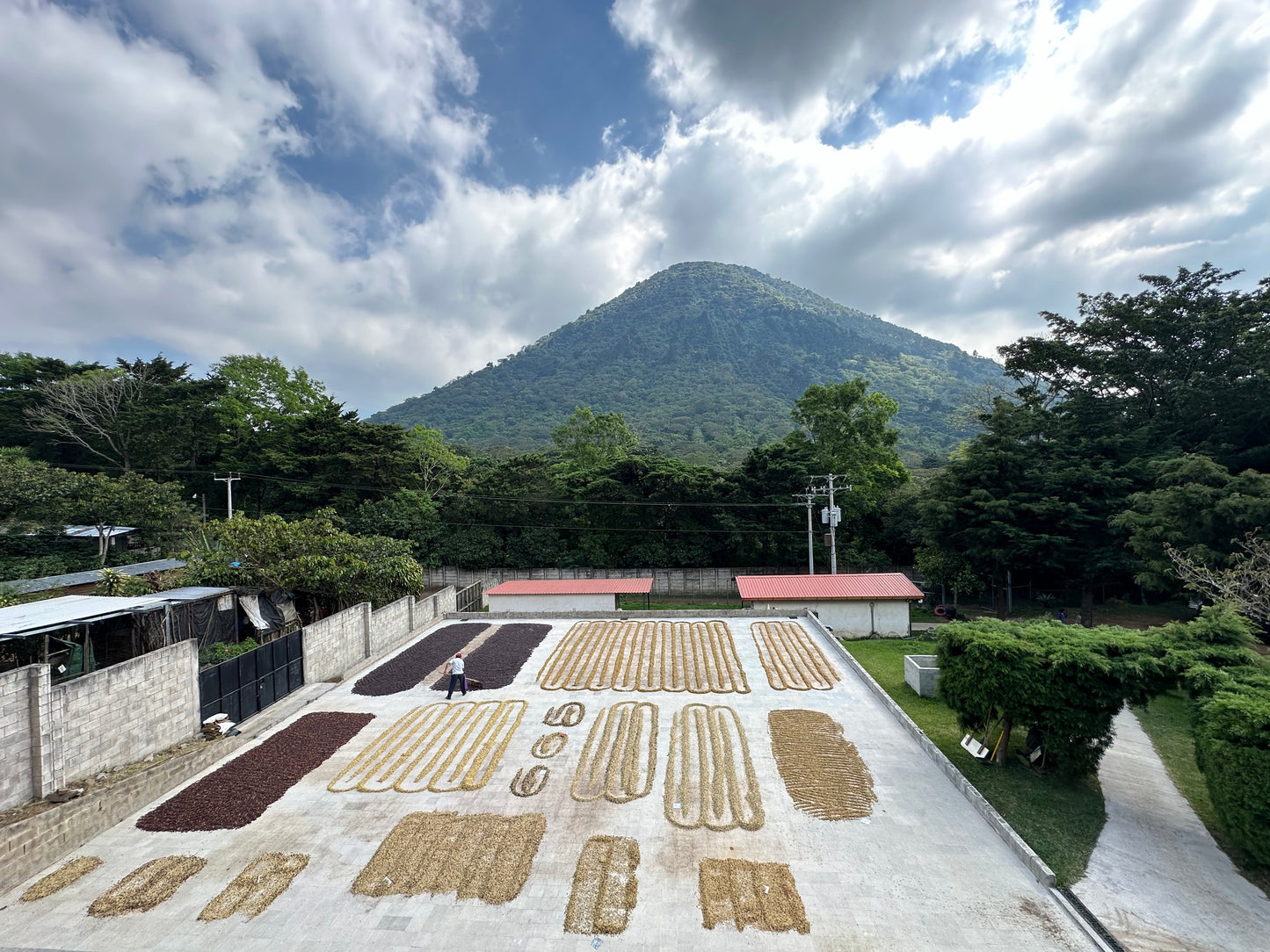 El Salvador Los Angeles Anaerobic
