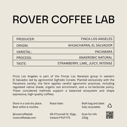 El Salvador Los Angeles Anaerobic