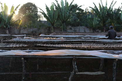 Ethiopia | Abdo Abamecha | 74110 & 74112 | Natural