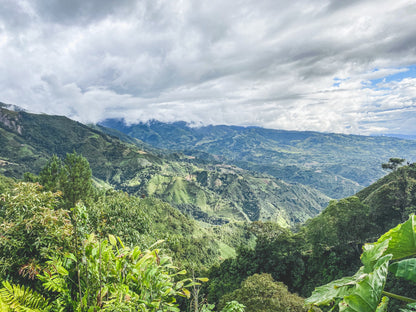 Colombia El Paraiso Washed