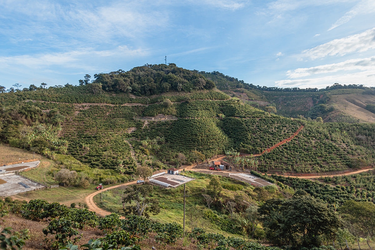 Brazil Fazenda Inhame Natural