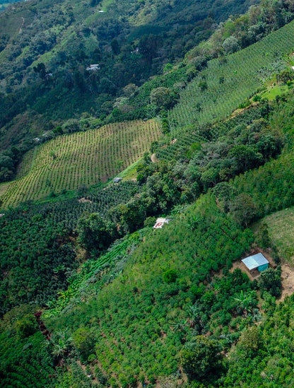 Colombia El Diviso Ombligon