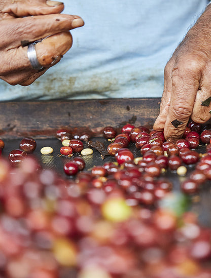 Colombia La Flaca Decaf