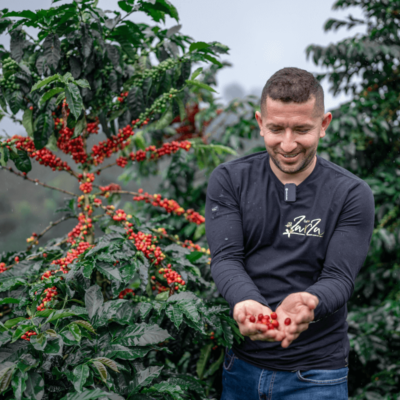 Colombia  Anaerobic Thermal Shock Geisha Pinton
