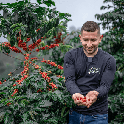 Colombia  Anaerobic Thermal Shock Geisha Pinton